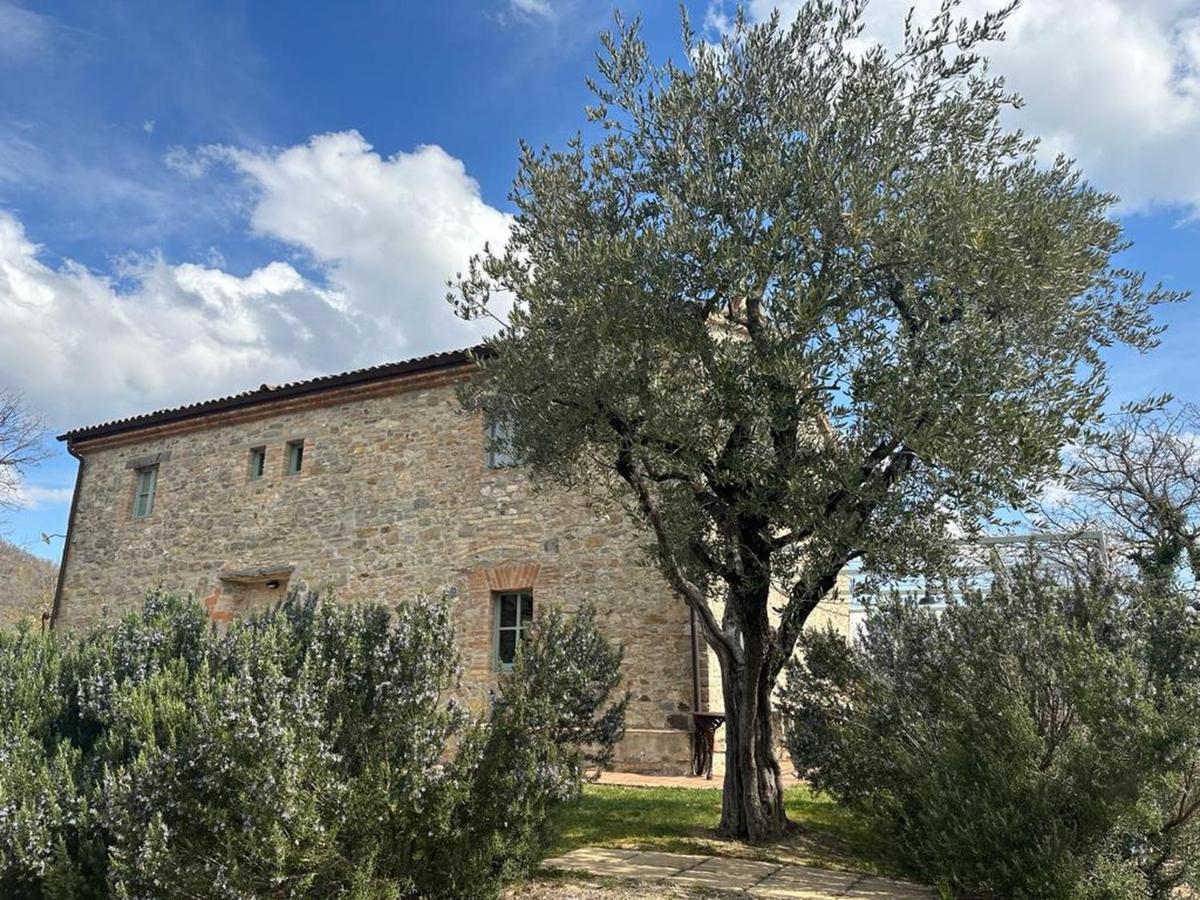 Bed and Breakfast Borgo Cardaneto Montone  Exterior foto