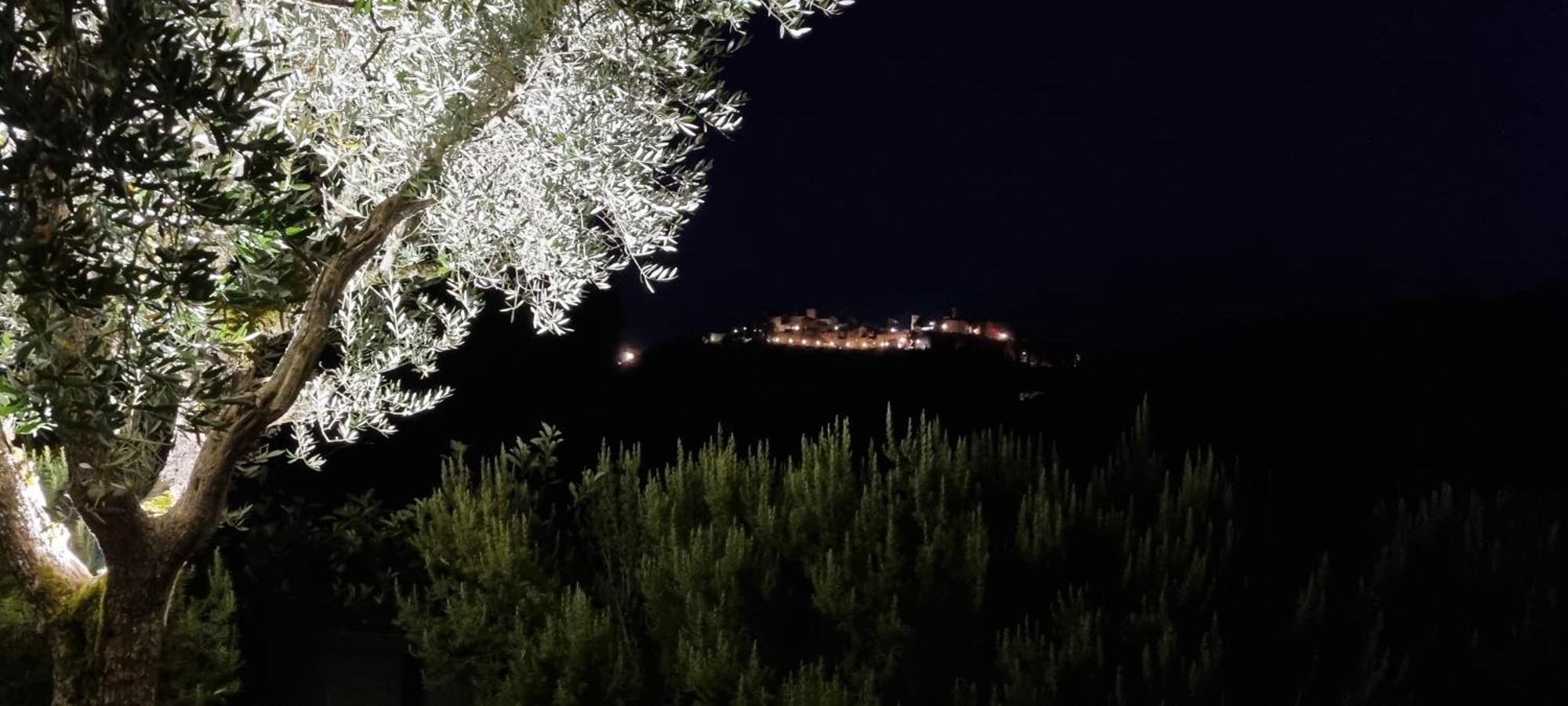Bed and Breakfast Borgo Cardaneto Montone  Exterior foto